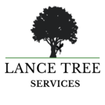 thumbnail_Lance Tree